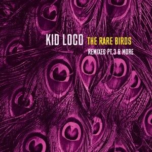 The Rare Birds Remixes, Pt.3 & More