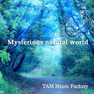 Mysterious natural world 2018