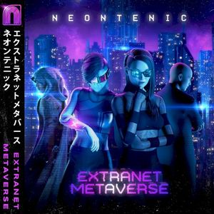 Extranet Metaverse