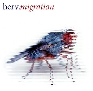 Migration