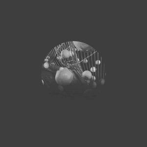Lost (Single)