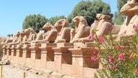 Les sphinx des temples d'Amon