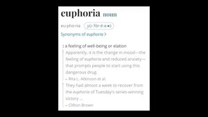 euphoria (Single)