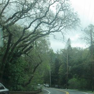 Store in Moraga (Loud Creaking)