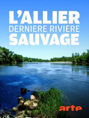 Allier, rivière sauvage