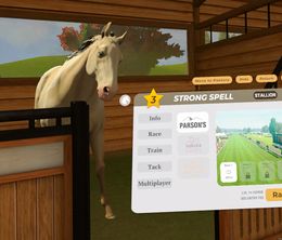 image-https://media.senscritique.com/media/000022086010/0/rival_stars_horse_racing_vr_edition.jpg