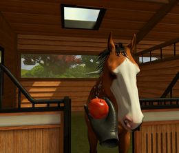 image-https://media.senscritique.com/media/000022086011/0/rival_stars_horse_racing_vr_edition.jpg