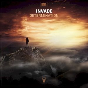 Determination (Single)