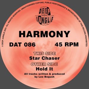 Hold It / Star Chaser (Single)