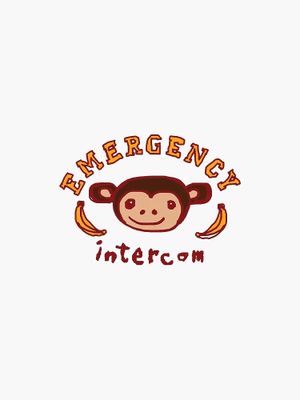 Emergency intercom