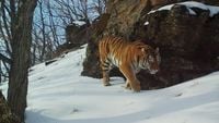 Terres de glace II: Régions glacées