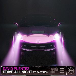 Drive All Night (feat. FAST BOY)