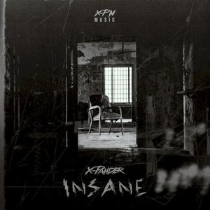 Insane (Single)