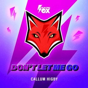 Don't Let Me Go (Single)