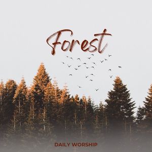 Forest (Single)