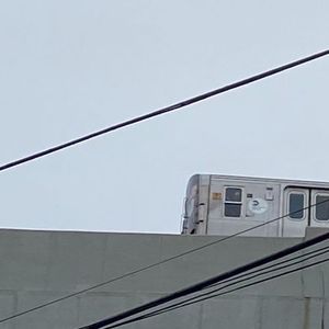 loss (Single)
