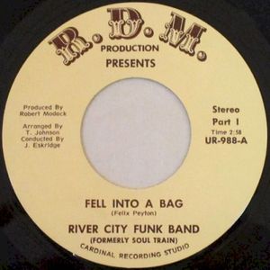Fell Into a Bag (Single)