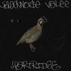Partridge (EP)
