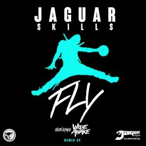Fly Remix EP