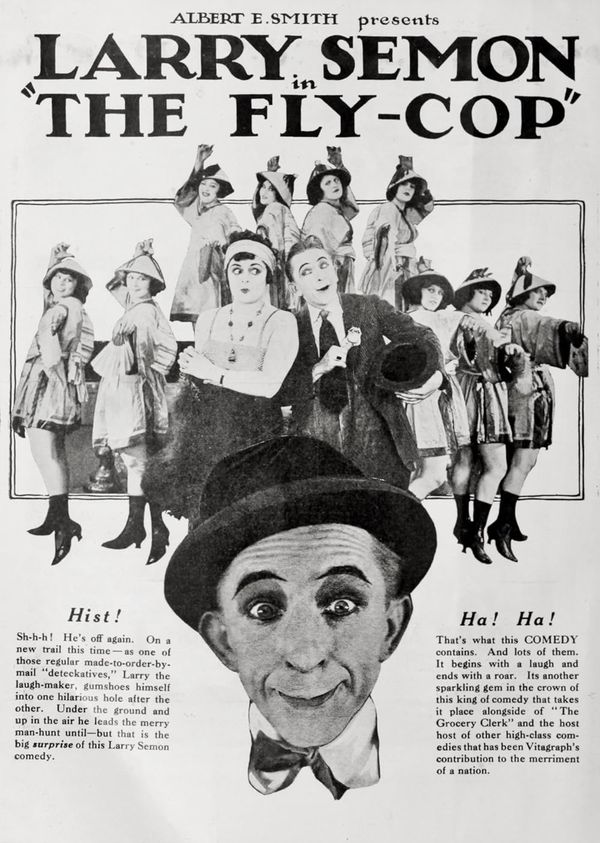 The fly cop