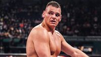 RAW 1617