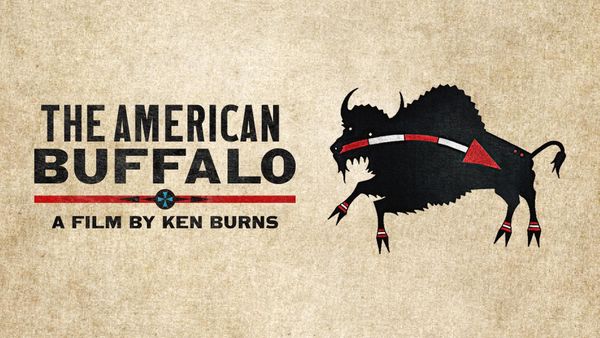 Bison : une histoire de l'Amérique
