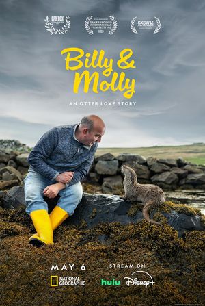 Billy & Molly: An Otter Love Story