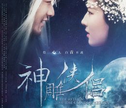 image-https://media.senscritique.com/media/000022120282/0/return_of_the_condor_heroes.jpg