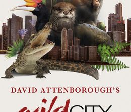 image-https://media.senscritique.com/media/000022122134/0/david_attenborough_s_wild_city.jpg