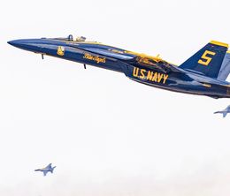 image-https://media.senscritique.com/media/000022123479/0/the_blue_angels.jpg