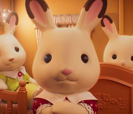 image-https://media.senscritique.com/media/000022123493/0/sylvanian_families_le_film_le_cadeau_de_freya.jpg