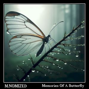 Memories of a Butterfly