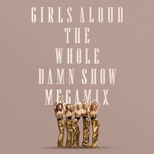 The Whole Damn Show Megamix