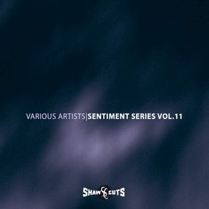 Sentiment Series Vol.11