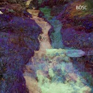 Bòsc