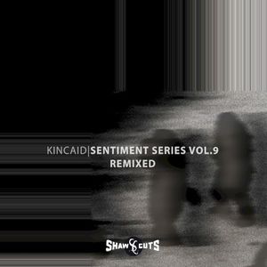 Sentiment Series Vol.9 - Remixed