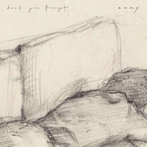 don’t you forget (Single)