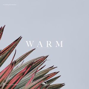 Warm (Single)