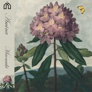 Maemuki (Single)