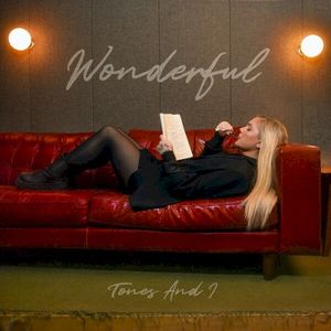 Wonderful (Single)