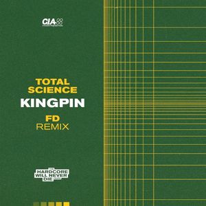 Kingpin (FD remix)