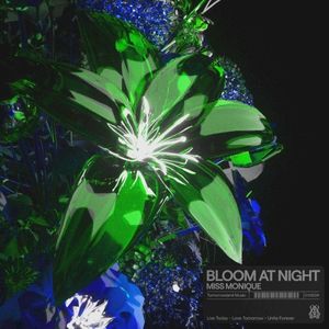 Bloom at Night (Single)