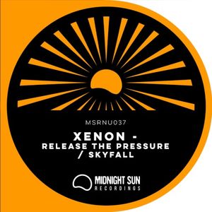 Skyfall / Release the Pressure (Single)