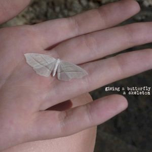 giving a butterfly a skeleton (EP)