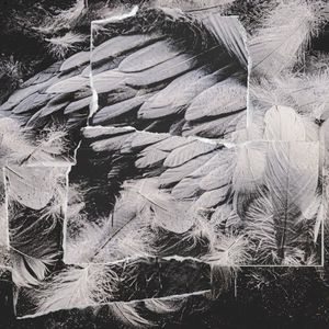 Albatros (EP)
