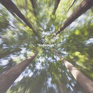 Redwoods (Single)