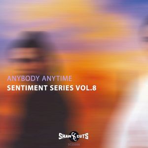 Sentiment Series Vol.8 (EP)