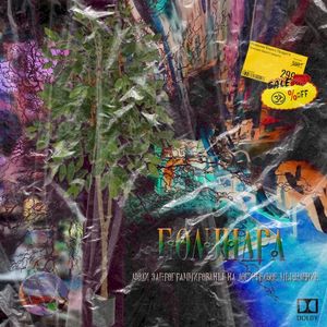 карман сити