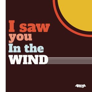 I Saw You in the Wind (Single)