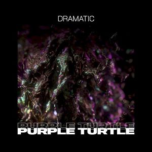 Purple Turtle (Single)